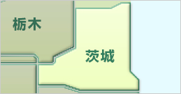�֓��F��錧