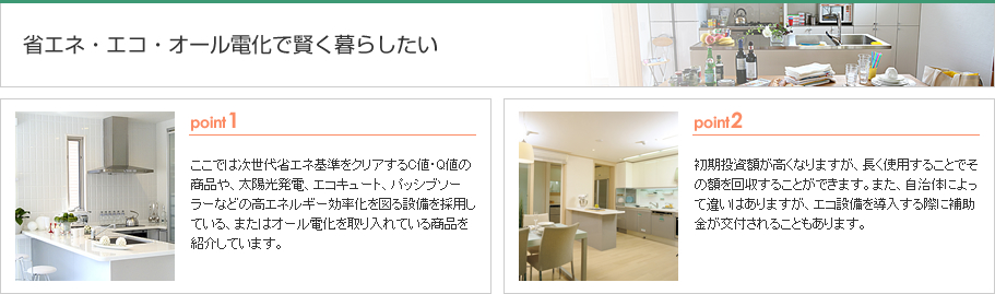 �ȃG�l�E�G�R�E�I�[���d���Ō�����炵����